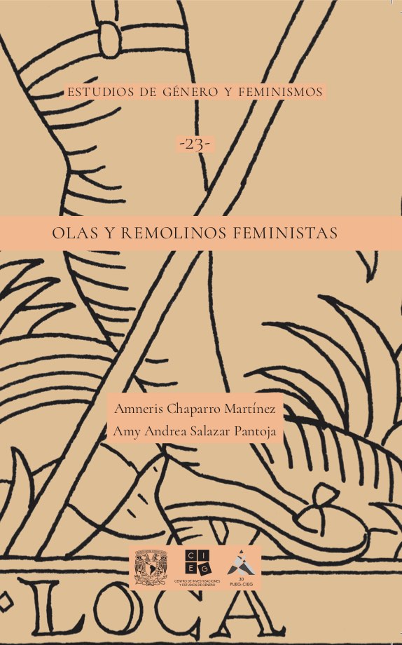 Olas y remolinos feministas